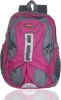 Adking_Standard_25_L_Backpack_Pink_.jpg