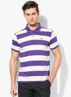 Arrow Sports Purple Regular Fit Polo T-Shirt