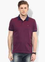 Arrow Sports Purple Regular Fit Polo T-Shirt