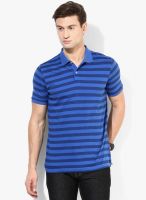 Blackberrys Blue Striped Polo T-Shirt
