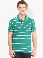 Code by Lifestyle Green Striped Polo T-Shirt