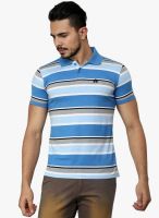 Cotton County Premium Blue Striped Polo T-Shirt