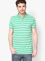 French Connection Green Striped Polo T-Shirts