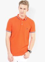 French Connection Orange Solid Polo T-Shirt