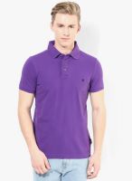 French Connection Purple Solid Polo T-Shirt