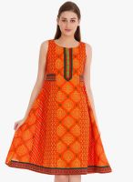 Fusion Beats Orange Colored Printed Skater Dress