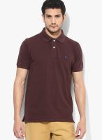 Izod Brown Solid Polo T-Shirts