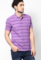 Nautica Purple Solid Polo T-Shirts