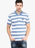 Selected Blue Striped Polo T-Shirts