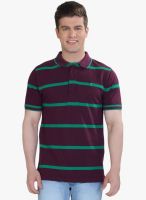 The Cotton Company Purple Striped Polo T-Shirt