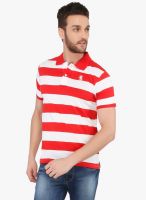 The Cotton Company Red Striped Polo T-Shirt