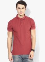 Tom Tailor Maroon Solid Polo T-Shirt