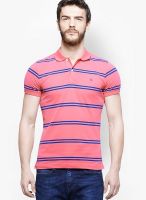 United Colors of Benetton Pink Striped Polo T-Shirts