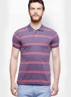 United Colors of Benetton Purple Striped Polo T-Shirts