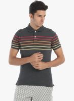 Zobello Dark Grey Striped Polo T-Shirt