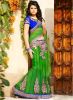 Hypnotex_Green_Embroidered_Saree_11.jpg