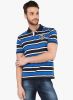 The_Cotton_Company_Blue_Striped_Pol_1.jpg