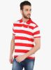The_Cotton_Company_Red_Striped_Polo_4.jpg