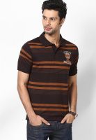 Duke Coffee Striped Polo T-Shirt
