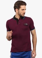 Fitz Purple Solid Polo T-Shirt