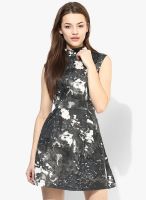 I AM FOR YOU Dark Grey Colored Printed Skater Dress