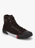 SPARX Brown Sneakers