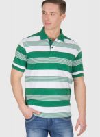 Wilkins & Tuscany Green Striped Polo T-Shirts