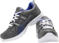Sketch Footwear Running Shoes(Grey)